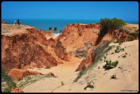 /album/east-beaches/dsc-6944-jpg/