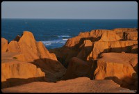 /album/east-beaches/dsc-7036-jpg/